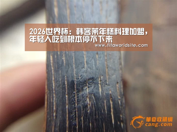 2026世界杯
